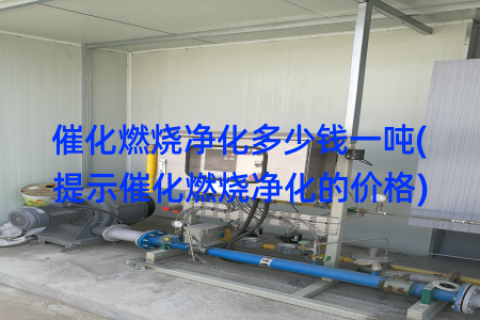 催化燃烧净化多少钱一吨(提示催化燃烧净化的价格)