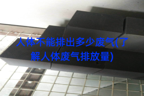 人体不能排出多少废气(了解人体废气排放量)