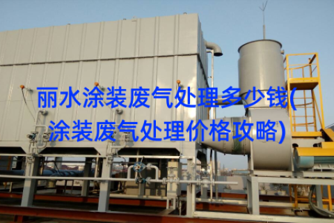 丽水涂装废气处理多少钱(涂装废气处理价格攻略)