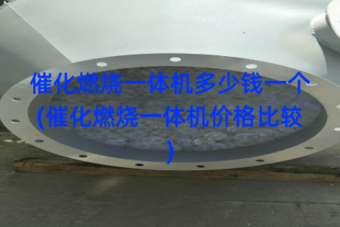 催化燃烧一体机多少钱一个(催化燃烧一体机价格比较)