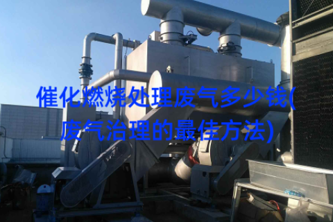 催化燃烧处理废气多少钱(废气治理的最佳方法)