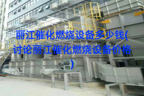 丽江催化燃烧设备多少钱(讨论丽江催化燃烧设备价格)