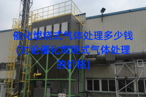 催化燃烧式气体处理多少钱(讨论催化燃烧式气体处理的价格)