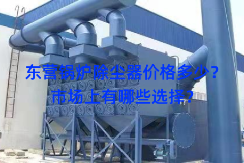 东营锅炉除尘器价格多少？市场上有哪些选择？