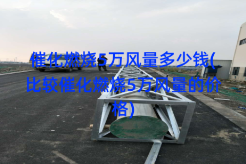 催化燃烧5万风量多少钱(比较催化燃烧5万风量的价格)