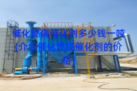 催化燃烧催化剂多少钱一吨(介绍催化燃烧催化剂的价格)