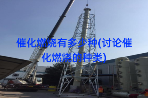 催化燃烧有多少种(讨论催化燃烧的种类)