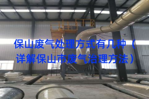 保山废气处理方式有几种（详解保山市废气治理方法）