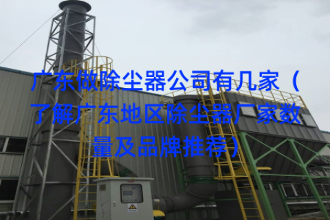 广东做除尘器公司有几家（了解广东地区除尘器厂家数量及品牌推荐）