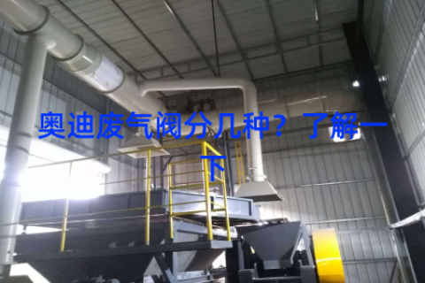 奥迪废气阀分几种？了解一下