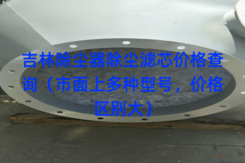 吉林除尘器除尘滤芯价格查询（市面上多种型号，价格区别大）