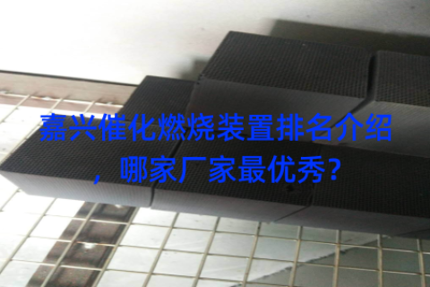嘉兴催化燃烧装置排名介绍，哪家厂家最优秀？
