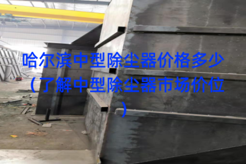 哈尔滨中型除尘器价格多少（了解中型除尘器市场价位）