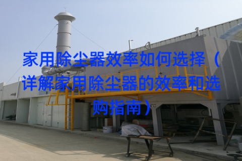 家用除尘器效率如何选择（详解家用除尘器的效率和选购指南）