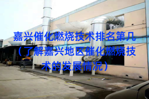 嘉兴催化燃烧技术排名第几（了解嘉兴地区催化燃烧技术的发展情况）