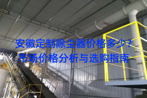 安徽定制除尘器价格多少？市场价格分析与选购指南