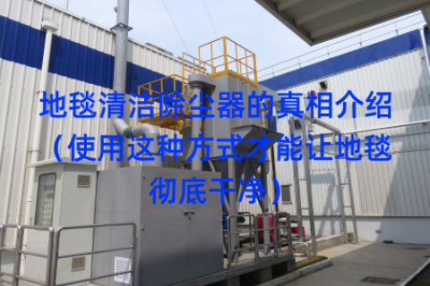 地毯清洁除尘器的真相介绍（使用这种方式才能让地毯彻底干净）