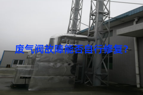 废气阀故障能否自行修复？