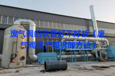 废气阀的软管好不好拆（废气阀维护和拆卸方法）