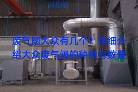 废气阀大众有几个？详细介绍大众废气阀的种类与数量