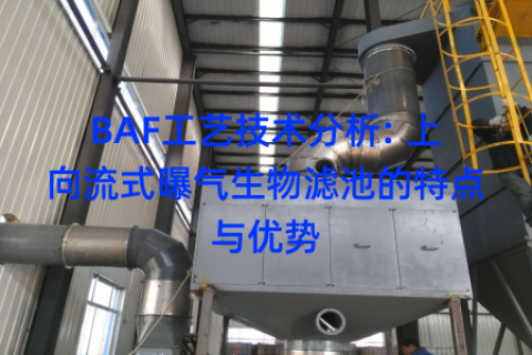 BAF工艺技术分析: 上向流式曝气生物滤池的特点与优势