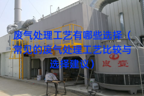 废气处理工艺有哪些选择（常见的废气处理工艺比较与选择建议）